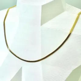 COLAR FITA 2MM 45CM CO1448