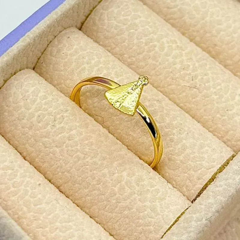 ANEL CHAPINHA NOSSA S. APARECIDA AO1768