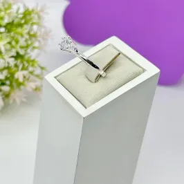 ANEL SOLITÁRIO 6 GARRAS AP1752 ANEL SOLITÁRIO 6 GARRAS AP1752